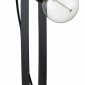 Настольная лампа декоративная Indigo Animo 10007/B/1T Black