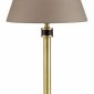 Настольная лампа Lumion Montana 4429/1T