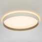 Накладной светильник Citilux ETALON CL750320R