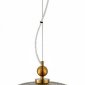 Подвесной светильник Oriental SL6122.303.01