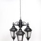 Уличный светильник подвесной Oasis Light 79750S/3 Bl