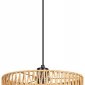 Подвесной светильник Arte Lamp Brushwood A7088SP-1BK