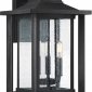 Настенный фонарь Quoizel уличный Wakefield QZ-WAKEFIELD-L-TBK