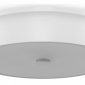 Накладной светильник Freya LED FR10011CL-L24W