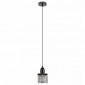 Подвесной светильник ЭРА Loft PL5 BK