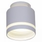 Накладной светильник Reluce Technical 53001 53001-9.5-001IL GX53+LED3W WT