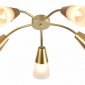 Потолочная люстра Escada Aquilegia 1100/5P Gold