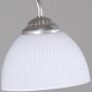 Потолочная люстра Reluce 07137-0.3-03 SN