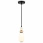 Подвесной светильник Ambrella Light LH LH53141