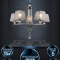 Подвесная люстра Seven Fires Aprim WD3586/5H-CF-FGD-BK