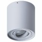 Потолочный светильник Arte Lamp Falcon A5645PL-1GY