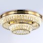 Потолочный светодиодный светильник Ambrella light Traditional TR5031