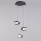 Подвесной светильник DeLight Collection MD24020901 MD24020901-3A black/smoky