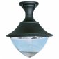 Потолочный светильник Fumagalli уличный Vivi V50.115.000.AXH27