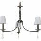 Подвесная люстра Arti Lampadari Fiore E 1.1.3.602 PB