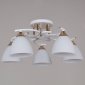 Потолочная люстра Reluce 05009-0.3-05 WH+FG
