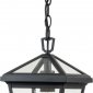 Уличный светильник подвесной Hinkley Alford Place QN-ALFORD-PLACE8-S-MB