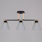 Потолочная люстра  11630-0.3-03 BK+WOOD