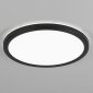 Настенно-потолочный светильник Basic Line CL738241VL