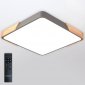 Потолочный светильник Scandinavian LED LAMPS 81413