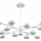 Потолочная люстра Lumion Torina 8265/12
