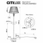 Торшер Citilux Вена CL402923T
