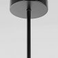 Люстра на штанге Lampit FINO TP 2007-6 BK