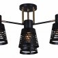 Потолочная люстра Reluce 06074-3.3-04 BK+FG