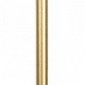 Настенный светодиодный светильник Loft IT Rays 10158GD