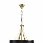 Подвесная люстра Lumion Demetra 8406/9