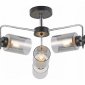 Потолочная люстра Illumico IL8249-6COU-79 BK CR