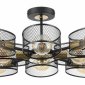 Потолочная люстра Lumion Vivana 8193/8C