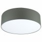 Потолочный светильник Lighthall Camerona 65 LH022028