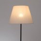 Торшер Arte Lamp Alea A5068PN-1BK