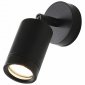 Архитектурная подсветка Favourite Pharus 2892-1W