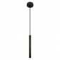 Подвесной светильник Everest 10583D Black