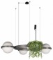 Подвесной светильник Loft IT Jardin 10121/3 Dark grey