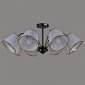 Потолочная люстра Illumico IL0344-8CSQ-79 BK AB