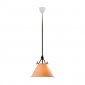 Подвесной светильник LArte Luce Chalet L17801.03