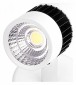 Встраиваемый светодиодный светильник Ambrella light Techno Led TN101/10W WH/BK