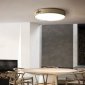Потолочный светильник ImperiumLoft RANGE03