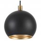 Подвесной светильник Lumion Dondoo 3635/1