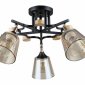 Потолочная люстра Arte Lamp Glassy A5078PL-5BK