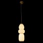 Подвесной светильник Loft IT Duff 10422/C