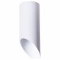 Потолочный светильник Arte Lamp Pilon A1615PL-1WH