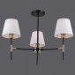 Потолочная люстра Illumico IL0185-3CSQ-24 BK AB CASTOR