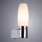 Настенный светильник Arte Lamp Aqua A1209AP-1CC