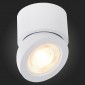 Светодиодный спот ST Luce ST654.542.10