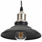 Подвесной светильник ЭРА Loft PL4 BK/BN