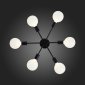 Потолочная люстра ST Luce Ano SL419.402.06